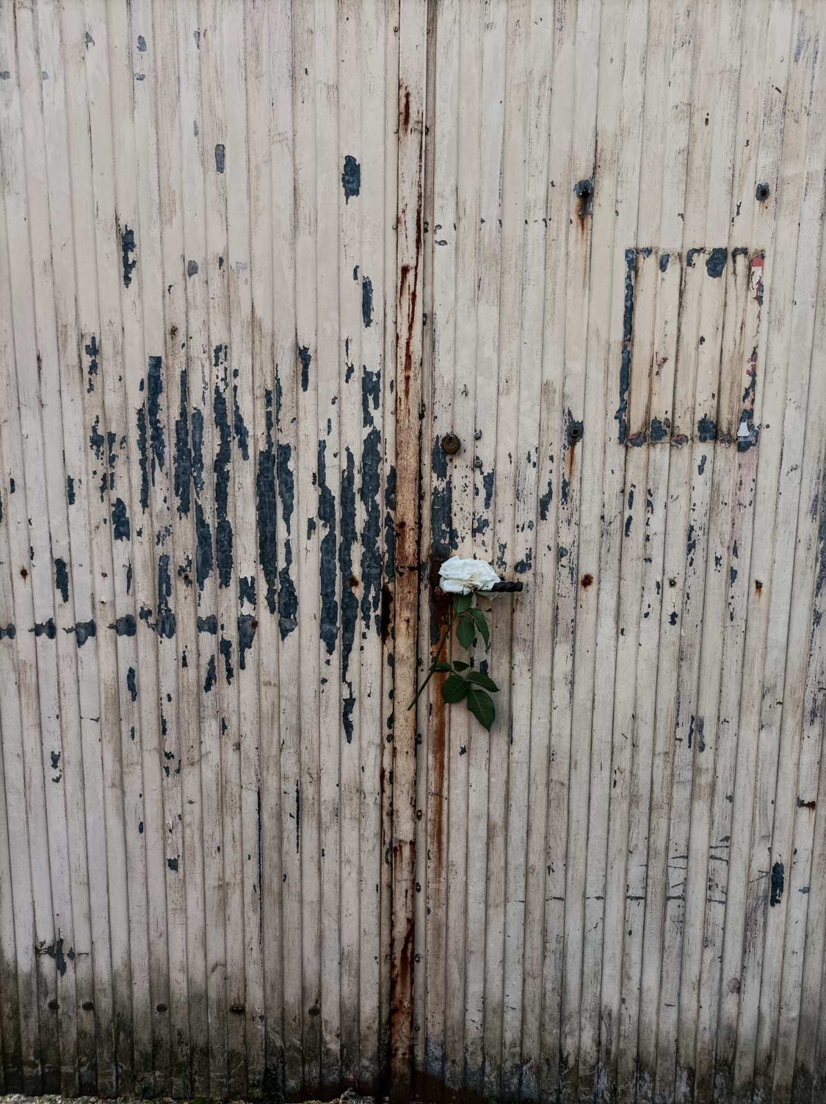 Τι νόημα έχει η ζωή, αν πρόκειται να πεθάνουμε; 