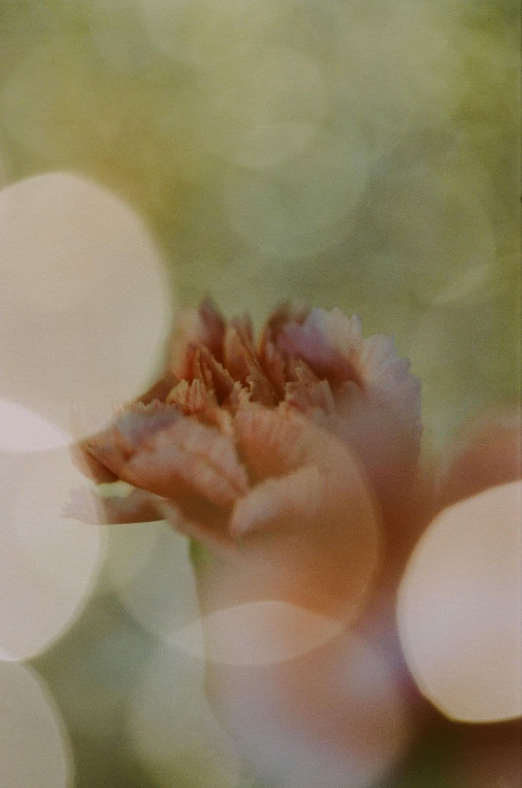 Saying Goodbye and Grieving: The Experience of Embryonic Loss.